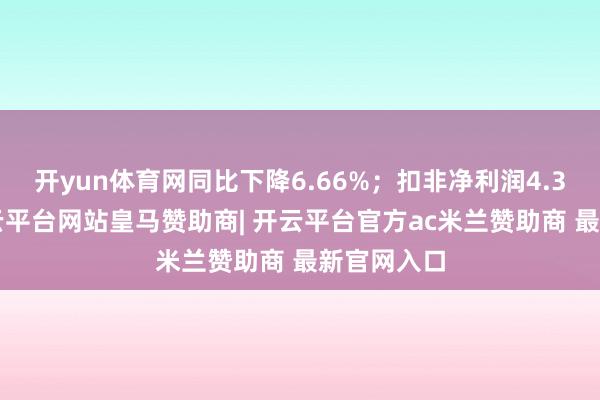 开yun体育网同比下降6.66%；扣非净利润4.39亿元-开云平台网站皇马赞助商| 开云平台官方ac米兰赞助商 最新官网入口