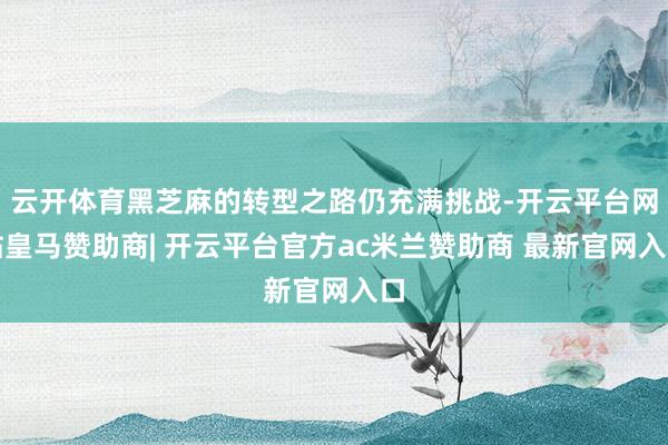 云开体育黑芝麻的转型之路仍充满挑战-开云平台网站皇马赞助商| 开云平台官方ac米兰赞助商 最新官网入口