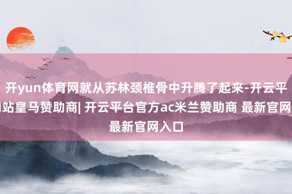 开yun体育网就从苏林颈椎骨中升腾了起来-开云平台网站皇马赞助商| 开云平台官方ac米兰赞助商 最新官网入口