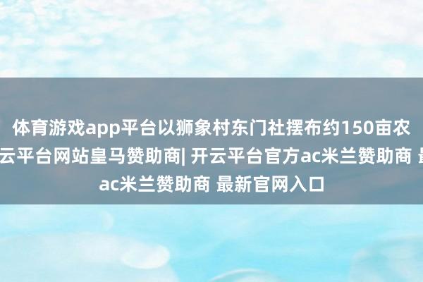 体育游戏app平台以狮象村东门社摆布约150亩农田为基础-开云平台网站皇马赞助商| 开云平台官方ac米兰赞助商 最新官网入口